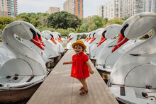 Little Girl With Swan Boats