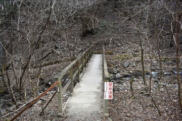 Poster - 木造の橋