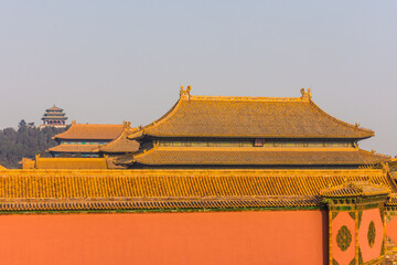 Wall Mural - Amazing view of the Forbidden City of Beijing, China