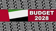 United Arab Emirates Budget 2028 Title and Flag Concept - 3D Illustration 