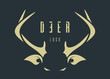 Deer logo concept design. Golden stylized deer head on a dark green background. Deer lettering. Vector illustration