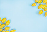 Fototapeta Tulipany - Yellow Tulip Bouquet on Blue Background, copy space, flat lay 