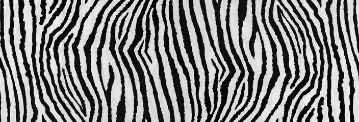 zebra print useful as a background