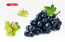 Set Of Green Grape And Black Grape Isolated. Realistic Vector Illustration Of Different Grapes.