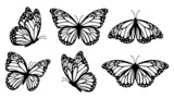 Fototapeta  - Monarch butterfly silhouettes collection, vector illustration isolated on white background
