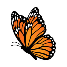 Monarch Butterfly, Side View. Vector Illustration Isolated On White Background