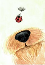 Cute Airedale Terrier Dog Nose Close Up With Flying Ladybug Watercolor Illustration 