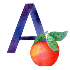 Letter A - colorful watercolor alphabet. Colorful watercolor, aquarelle font type handwritten hand draws