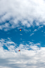 Wall Mural - colorful kites flying over the sky