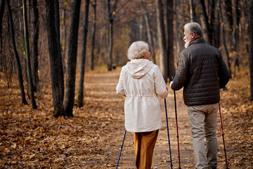 Rear view on couple walking with nordic walking poles in autumn forest. Active lifestyle after retirement concept. Romantic aged couple enjoying the moment of love in park, enjoying time together