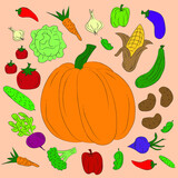 Fototapeta Kuchnia - Vector illustration of harvest. Fresh vegetables. A variety of vegetables around a large orange pumpkin on a light beige background. Hand drawn