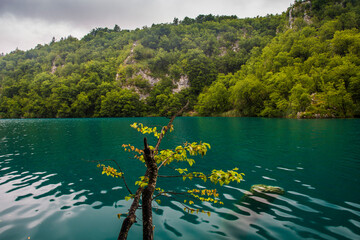 Wall Mural - Plitvice Lakes National Park colorful landscape with turquoise blue and green water in Croatia.