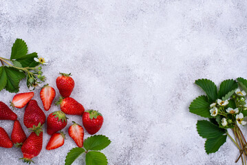 Wall Mural - Strawberry with leaves and flowers