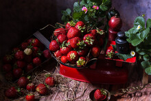 Ripen Fresh Strawberries On Vintage Red Scales On Dark Background With Green Leaves And Pink Blossoms On Strawberry Plants, Fresh Fruit And Food Concept