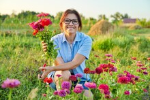 Smiling Middle Aged Female Holding Bouquet Of Fresh Zinnia Flowers In Garden