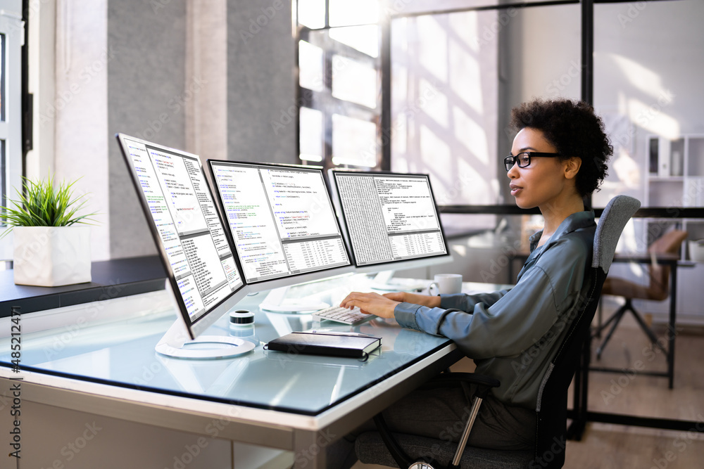 Female Web Programmer Coding On Computer Stock Photo | Adobe Stock