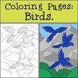 Coloring page with example. Three cute parrots blue macaw fly and smile.