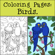 Coloring page with example. A pair of cute parrots blue macaw sits and smiles.