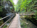 Fototapeta Dziecięca - Wooden hiking trails and bridges along the protected landscape of the Kamacnik canyon - Vrbovsko, Croatia (Drvene pješačke staze i mostići duž zaštićenog krajolika kanjona Kamačnik - Gorski kotar)