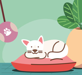 Poster - resting cat with toy