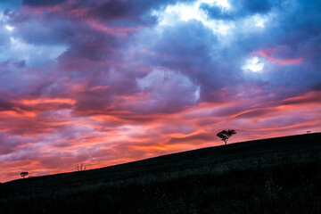 Sticker - silhouette of a tree on a hill