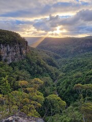 Wall Mural - Blue Mountains national park in New South Wales in summer 2022