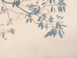 © VTT Studio - Tree leaves shadow on wall Nature Abstract background
