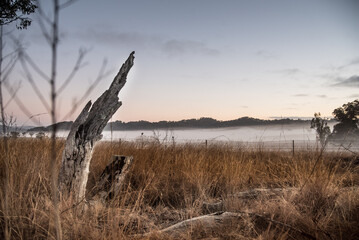 Sticker - sunrise with fog over the field