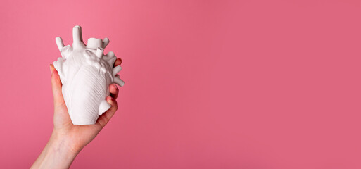 Hands holding white heart organ model. Health care or organ donation concept. Funny Valentines day banner with copy space.