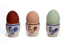 Three Egg Cups, Decorated With A Rooster, Eggs In Three Different Colors, Laid By Three Types Of Chickens: Sussex, Marans And Araucona
