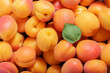 fresh ripe apricots as background