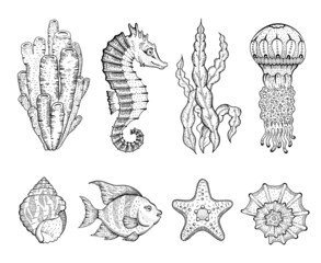 Wall Mural - Sea life icon set. Coral star fish tropic fish horse seaweed shell jellyfish sketch graphic elements. Trendy underwater black line engraving art. Cool hand drawn vector illustration isolated on white