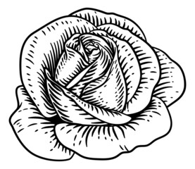 Wall Mural - Rose Flower Vintage Woodcut Drawing