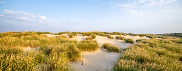 Wall Mural - dune beach panorama with beach grass