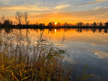 Beautiful Sunset Over A Tranquil Lake With Reed In The Foreground, Germany