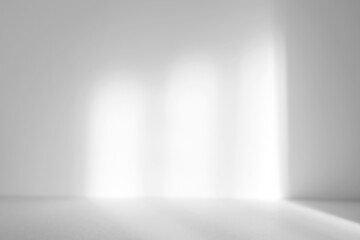 Wall Mural - Abstract white studio background for product presentation. Empty room with shadows of arch window. 3d room with copy space. Summer concert. Blurred backdrop.