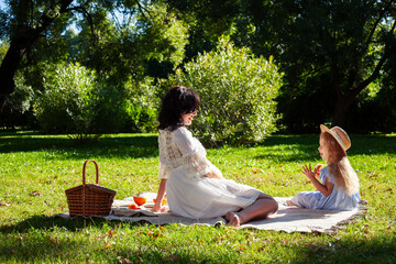 Wall Mural - young pretty pregnant brunette woman having fun with her daughter on picnic on green grass in park, lifestyle people concept