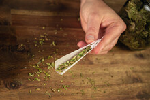 Man Rolling Marijuana Cannabis Joint In Coffee Shop Amsterdam With CBD Weed Buds In Glass Jars.