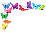 Fototapeta Motyle - Background design with decorative butterflies. Colorful abstract insects.