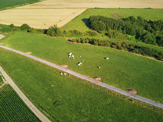 Poster - Aerial view of pastures and farmlands in Brittany, France