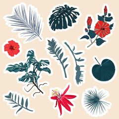 Wall Mural - Set of stickers and icons of abstract blue tropical palm leaves, red flowers and plants illustration. Set of stickers, pins, patches and handwritten notes collection stikers kit.