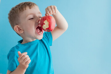 Wall Mural - Child holding and eating red apple on blue background, food, diet and healthy eating concept