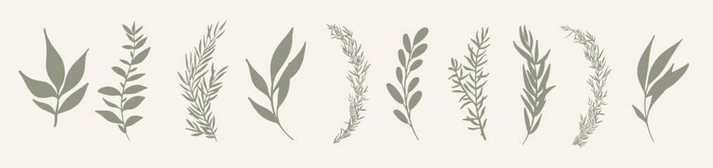 set of leaves. hand drawn decorative green leaf element.