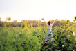 © oatawa - Happy woman standing and open her arms in a sunflower field at sunset. concept of freedom.