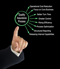 Canvas Print - Components of Quality Assurance Process