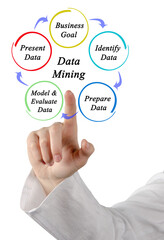 Sticker -  Five Components of Data Mining