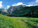 Fototapeta  - Tourist trail in The Little Meadow Valley - Dolina Malej Laki (Dolina Ma³ej £¹ki), the Tatra (Tatry) Mountains, Poland