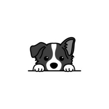 Cute Border Collie Puppy Peeking Cartoon, Vector Illustration