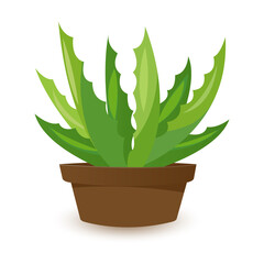 Cactus icons in flat style on white background. Homemade cactus in a pot and flowers. Variety of decorative cacti with thorns