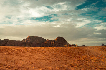 Wall Mural - Camels and Bedouins